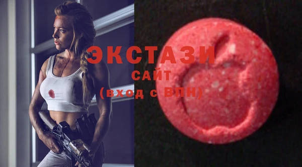 ECSTASY Алзамай