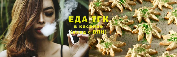 ECSTASY Алзамай